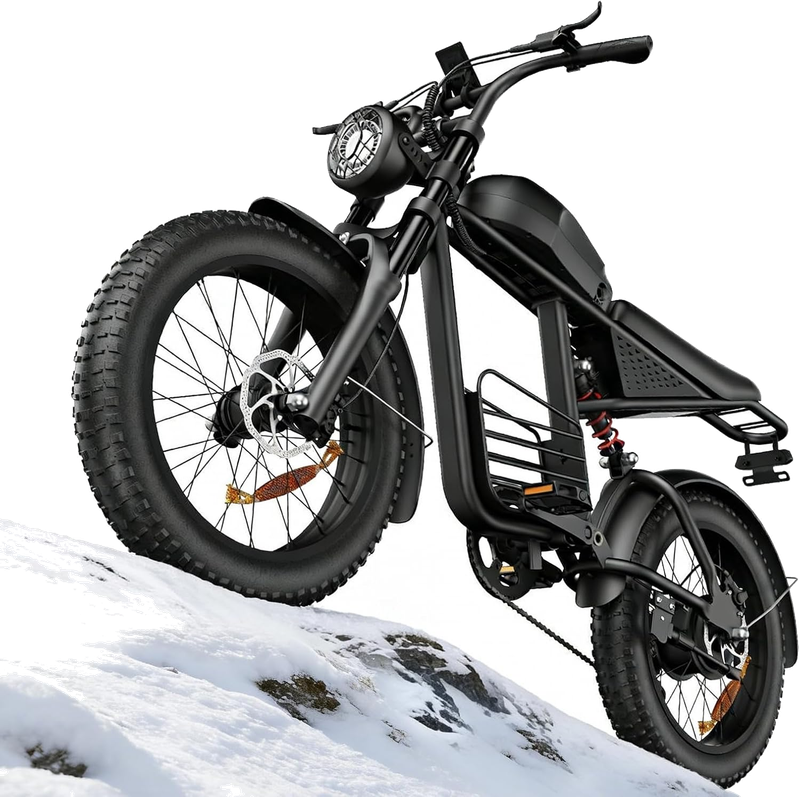 Electric Bike for Adults